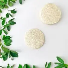 [76527] لوفه صنفرة للوجه