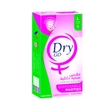 [76748] Dry Go Disposable Panties L