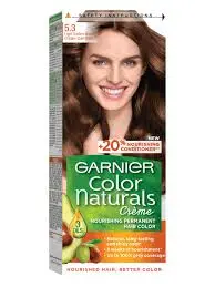 GARNIER 5-3 LIGHT GOLDEN BROWN