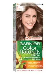 GARNIER 6 dark blond