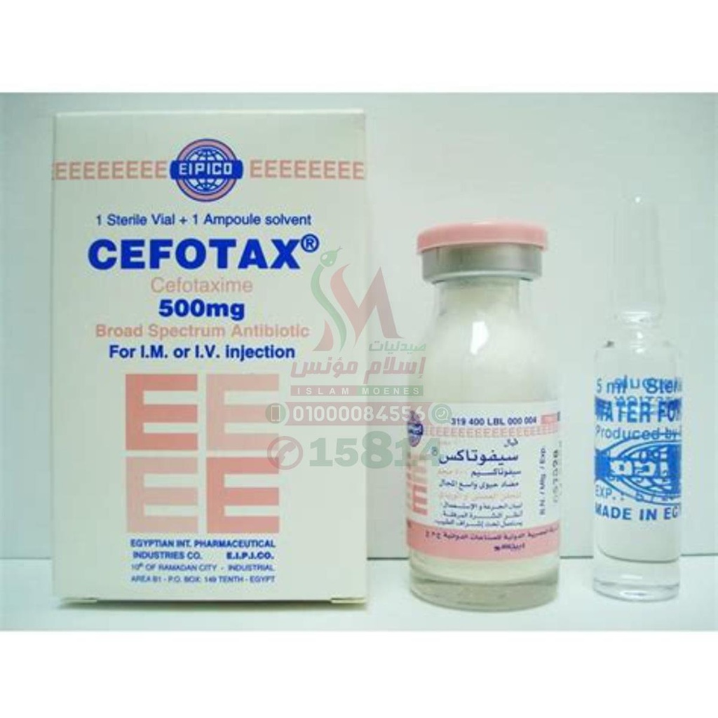 [17461] CEFOTAX 500MG VIAL
