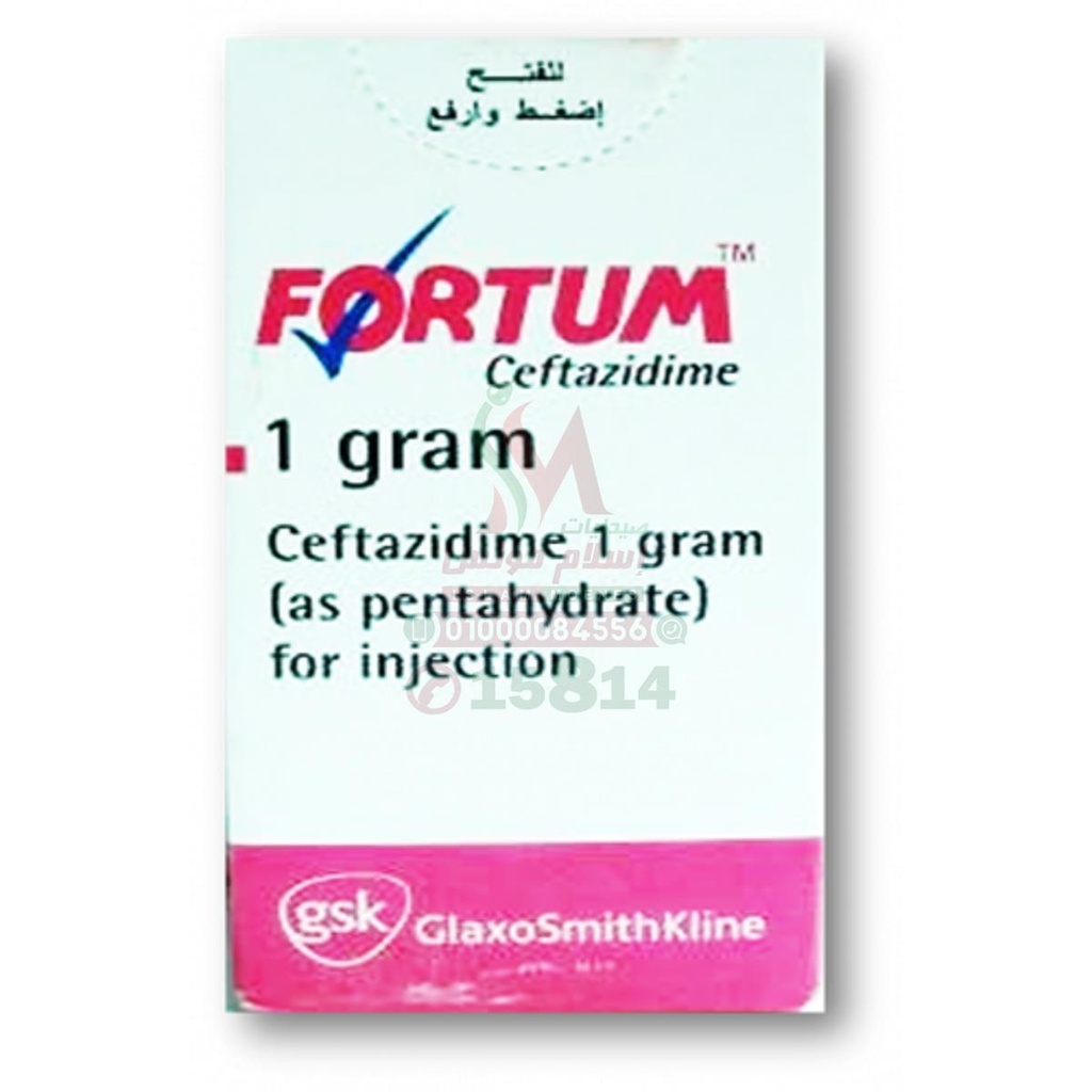 FORTUM 1GM VIAL