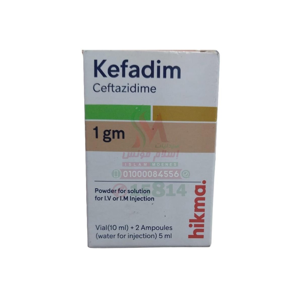 [29079] KEFADIM 1GM VIAL