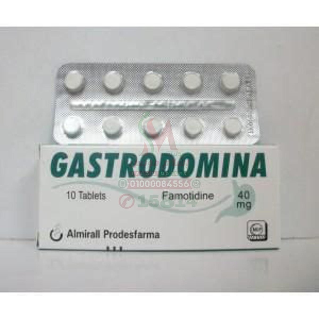 [20653] GASTRODOMINA 40MG 10TAB