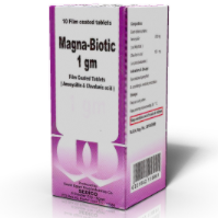 MAGNA BIOTIC PLUS 1 GM 10 TAB