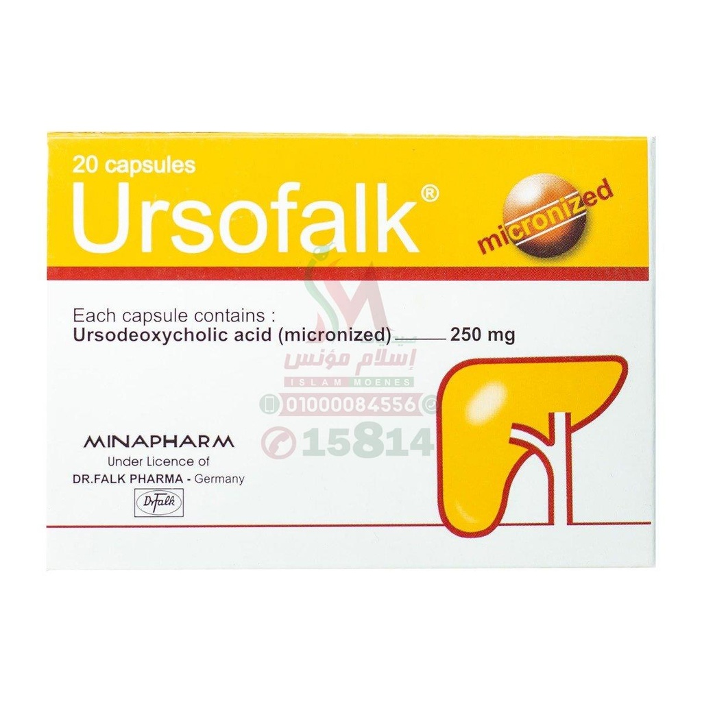 URSOFALK 250 MG 20 CAP - اورسوفالك 250 مجم 20 كبسولة | 250 مجم | كبسولات | علاج وتفتيت حصوات المرارة ودعم الكبد