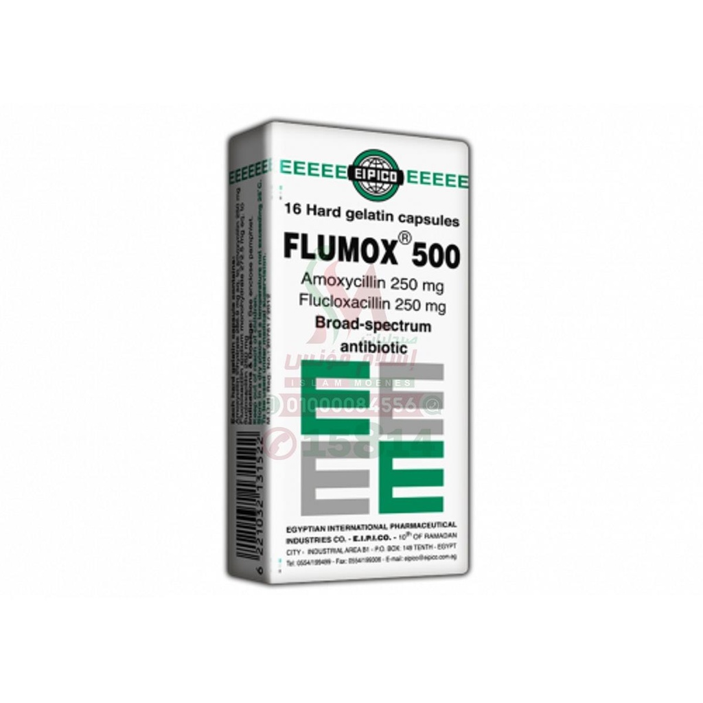 FLUMOX 500MG CAP - فلوموكس 500 مجم كبسول | 500 مجم | كبسولات جيلاتينية صلبة | مضاد حيوي واسع المجال لعلاج العدوى البكتيرية