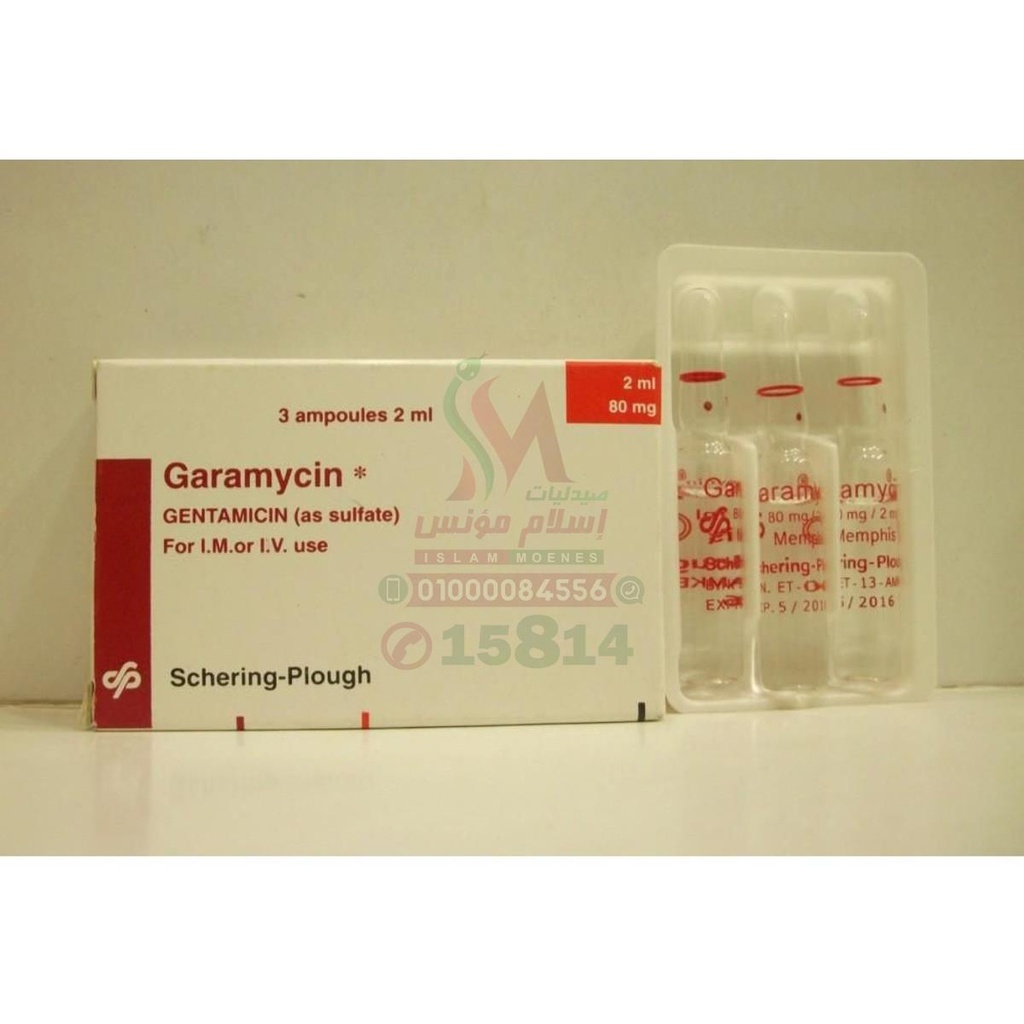 GARAMYCIN 80MG AMP
