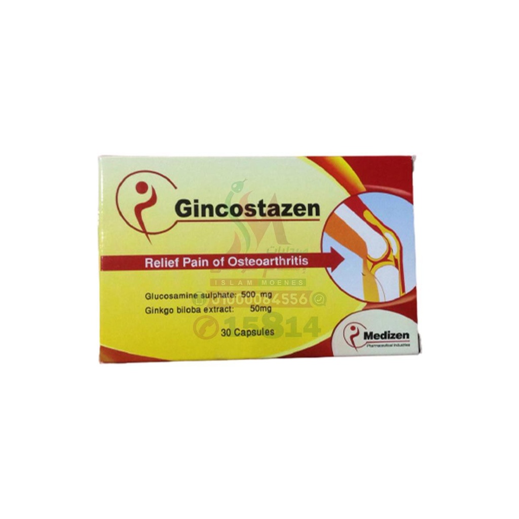 GINCOSTAZEN 30 CAP - جينكوستازين 30 كبسولة | كبسولات | تحسين الدورة الدموية الطرفية وتعزيز الذاكرة والتركيز
