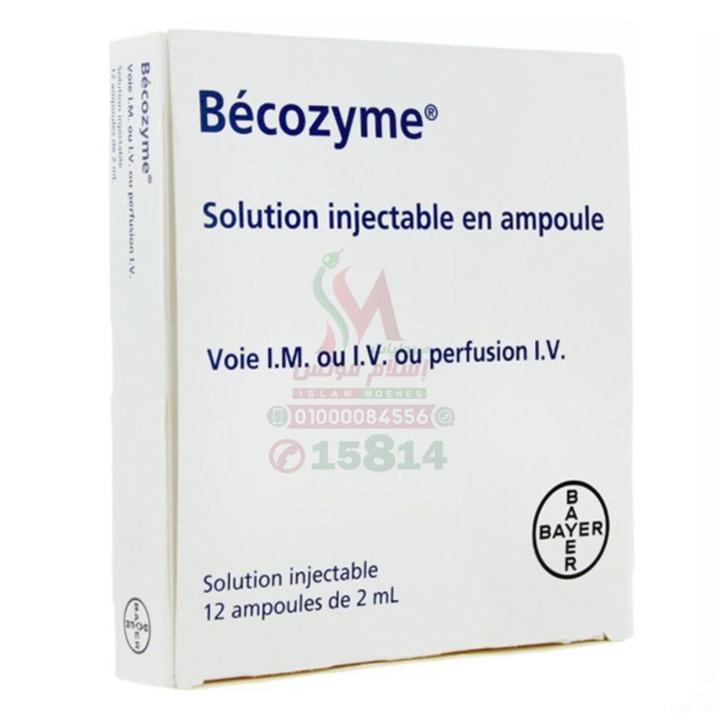 BECOZYME SOLUTION 12 AMP