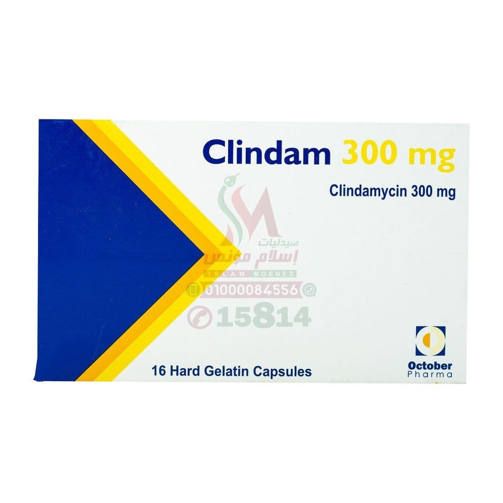 CLINDAM 300 MG 16 CAP - كليندام 300 مجم | 16 كبسولة | كبسولات | مضاد حيوي قوي لعلاج العدوى البكتيرية الشديدة والتهابات الاسنان
