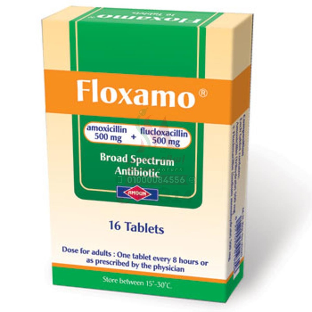 FLOXAMO TAB - فلوكسامو اقراص | 500 مجم / 500 مجم | اقراص مغلفة | مضاد حيوي واسع المجال لعلاج الالتهابات البكتيرية
