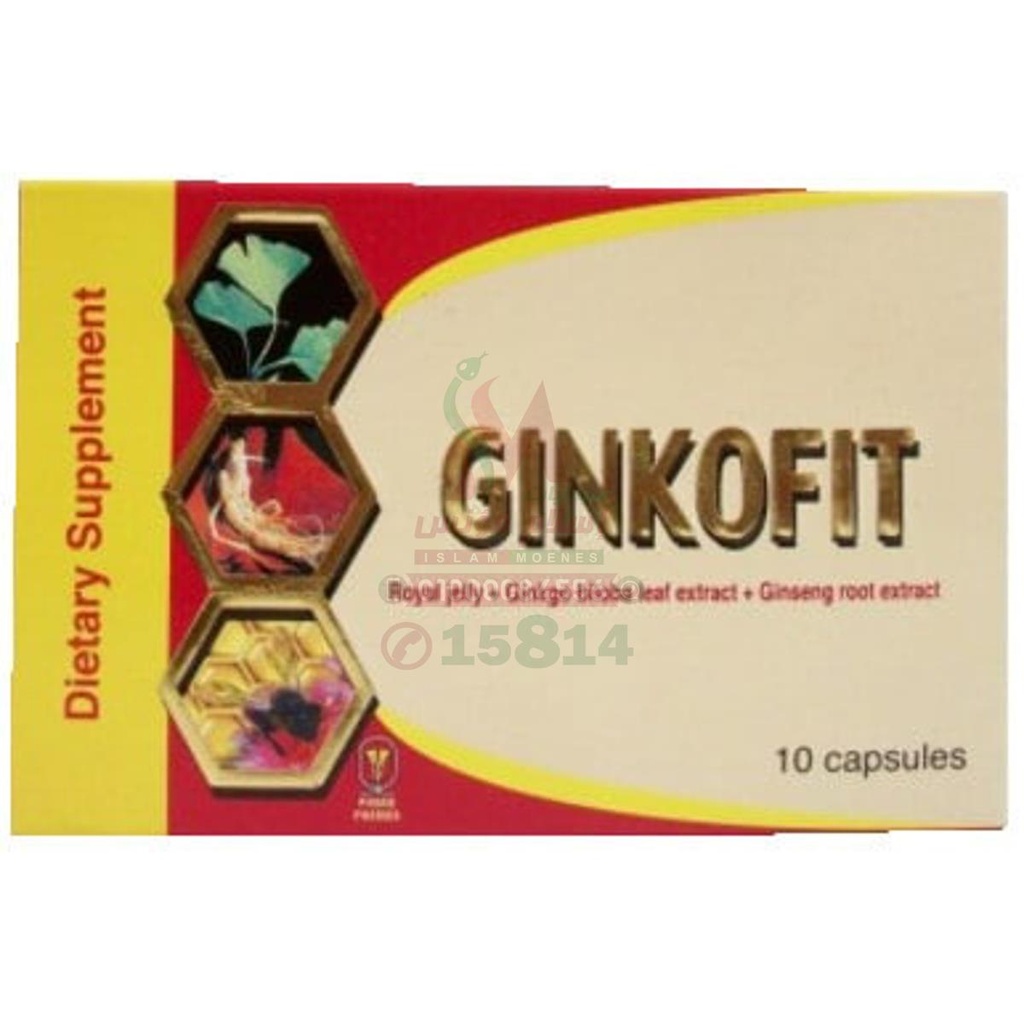 GINKOFIT 30 CAPS - جينكوفيت 30 كبسولة | مكمل غذائي لتنشيط الذاكرة والدورة الدموية | كبسولات | تحسين التركيز والقدرات الذهنية