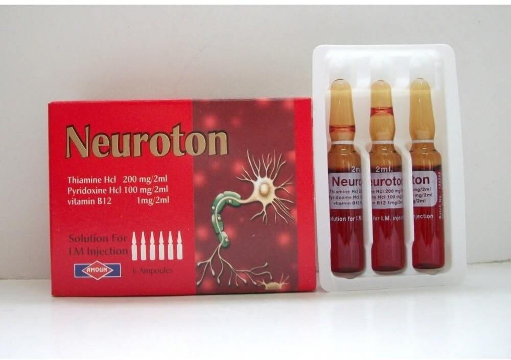 NEUROTON 6AMP
