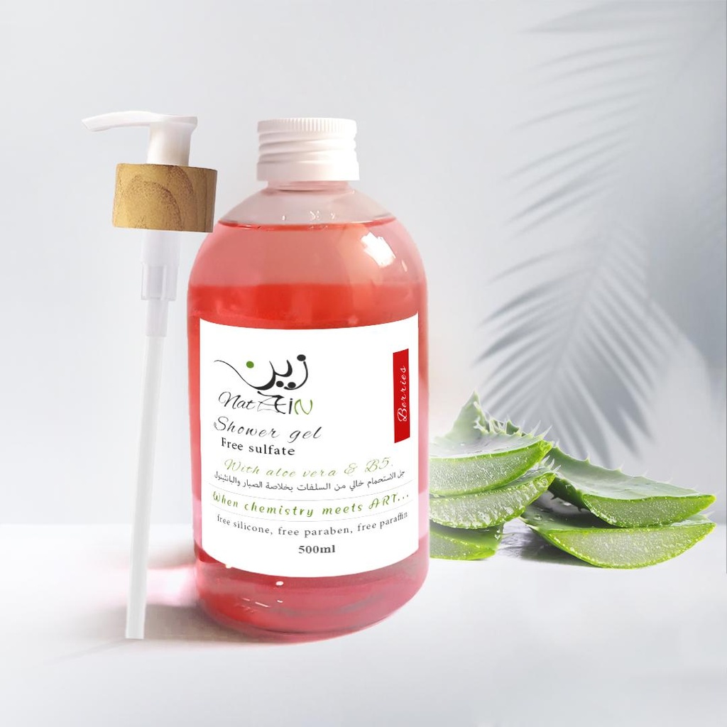 [79030] zeinshower gel alovera glycerin berries & panth 500ml