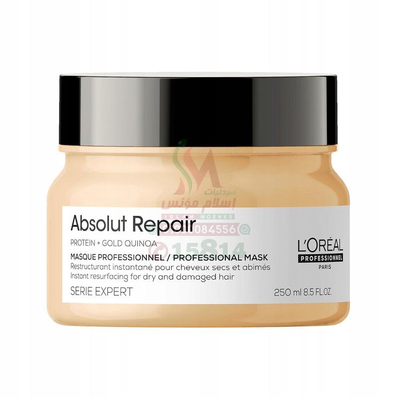 [79810] LOREAL ABSOLUT MASK 250 ML