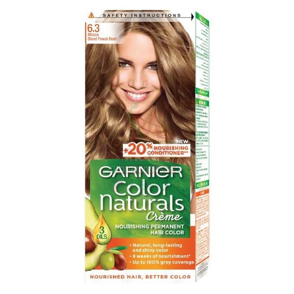 [80708] GARNIER 6.31 CHESTNUT BLONDE