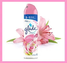[67748] Glade Easier Spray Rose 5*1 300ml
