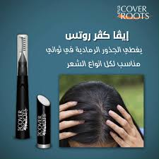 [56939] EVA COVER ROOTS HAIR STICK 3GM BROWN