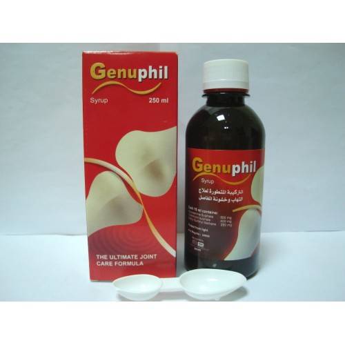 [48288] GENUPHIL 250 ML SYRUP